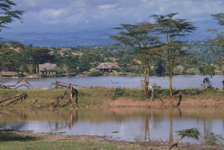 Fotosafari v keňských národních parcích a rezervacích