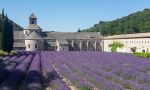 Provence levandulová 